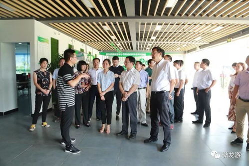 千里走親促商貿 山海共繪新藍圖——龍游黨政代表團江門考察記